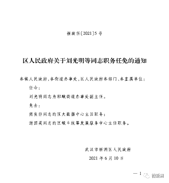 武湾村委会人事任命揭晓，塑造未来，激发新活力