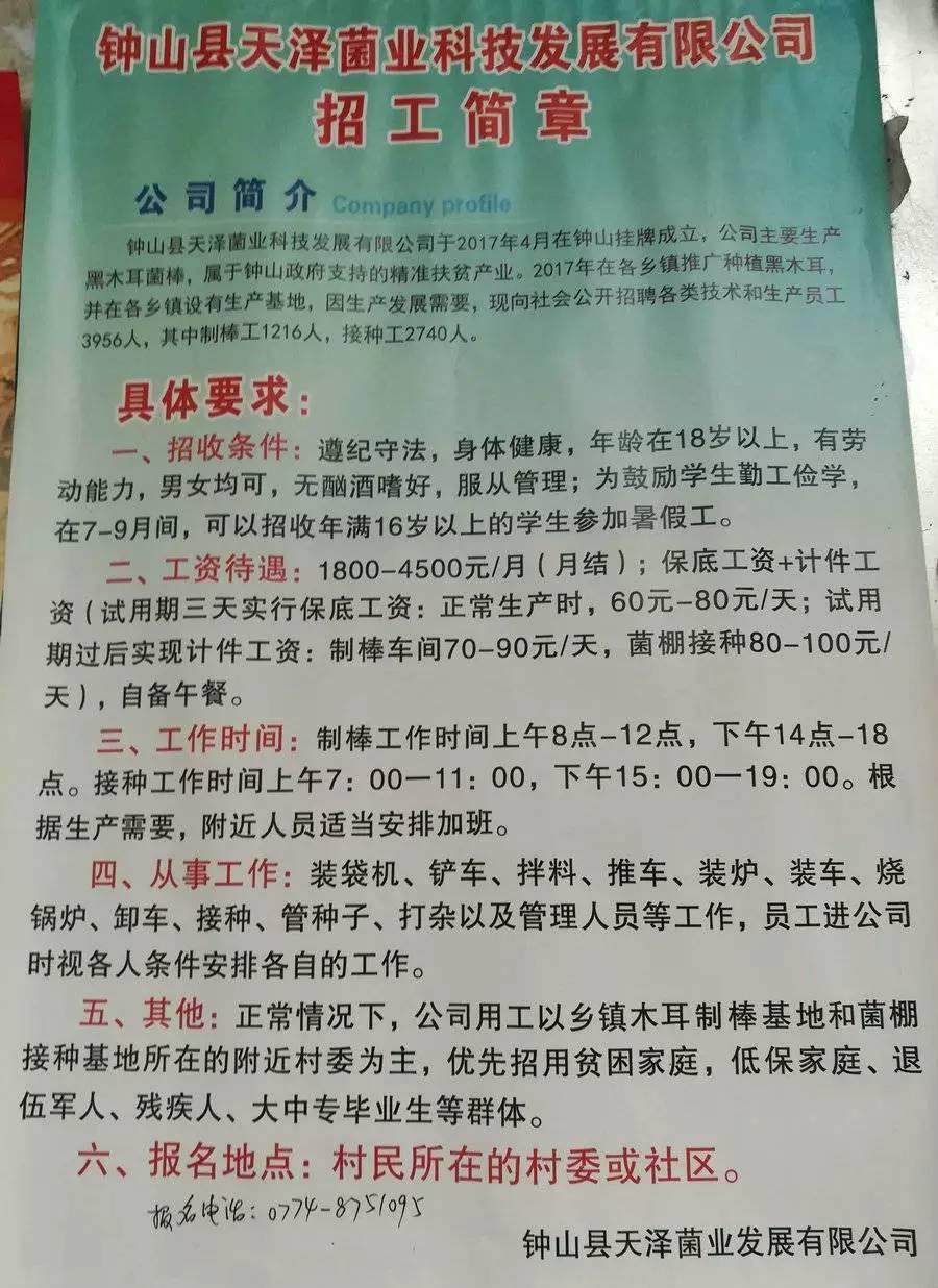 朗欧村最新招聘信息与就业机遇深度探讨