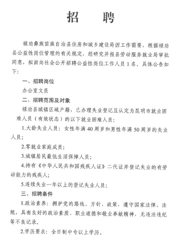 林山村委会最新招聘启事概览