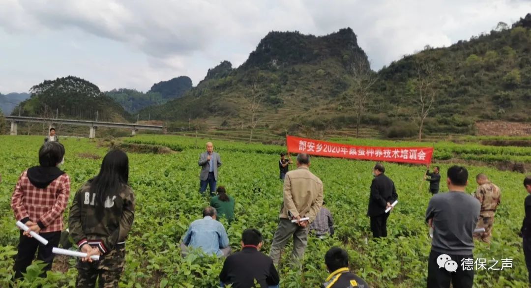 都安乡领导团队最新调整引领地方发展新篇章