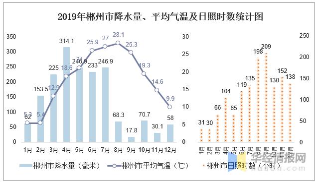 郴州市统计局最新招聘信息概览