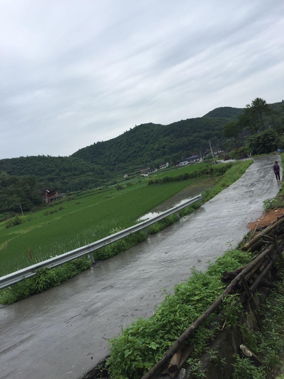 徐家河乡天气预报更新通知