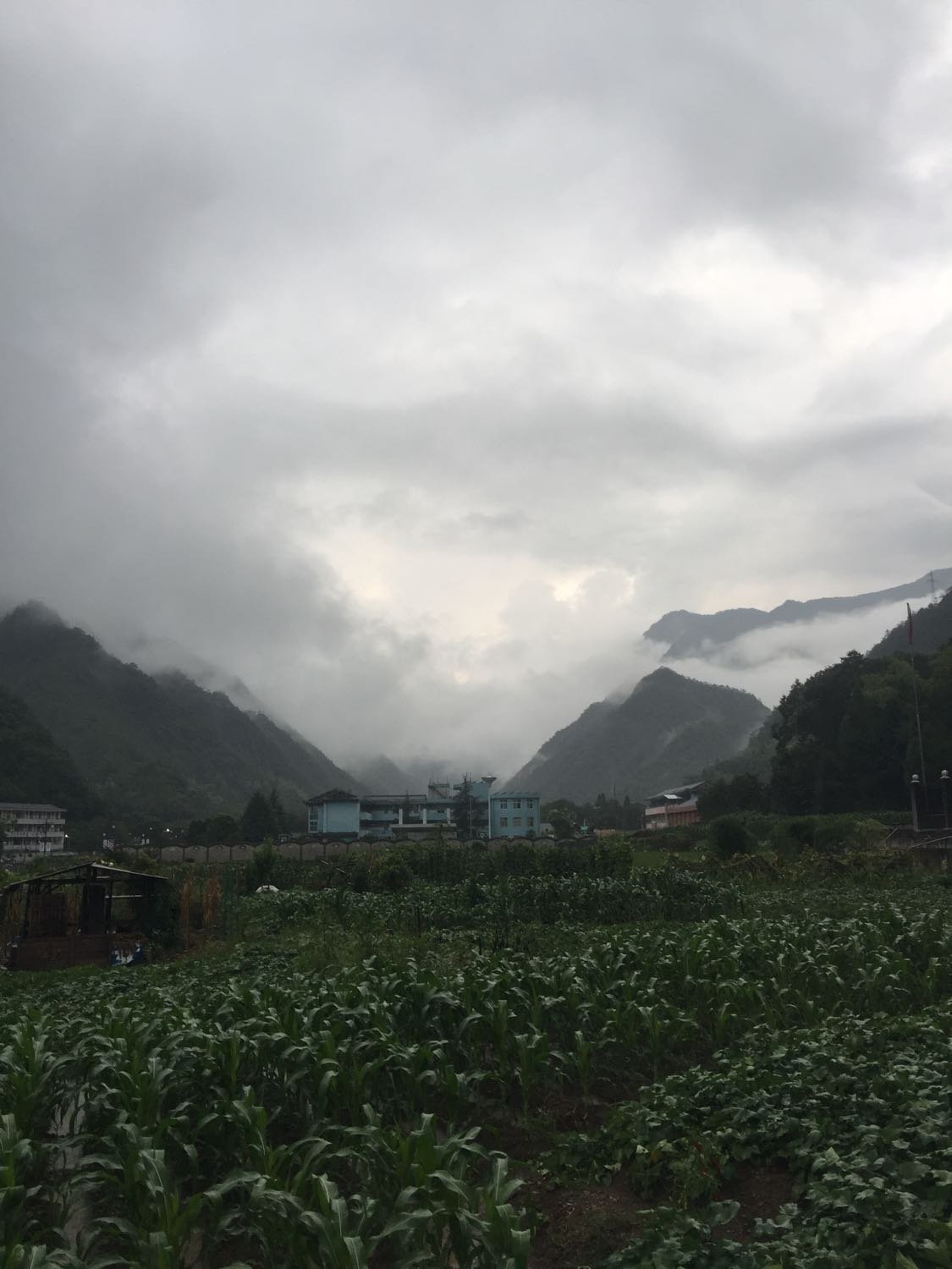 谷旦镇天气预报更新通知