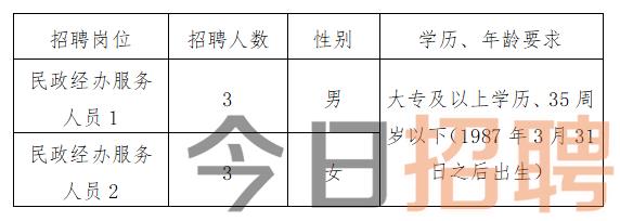 叶城县数据和政务服务局最新招聘信息详解