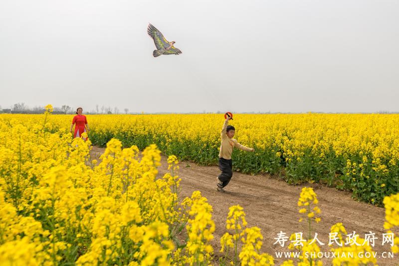 陶店回族乡发展规划展望