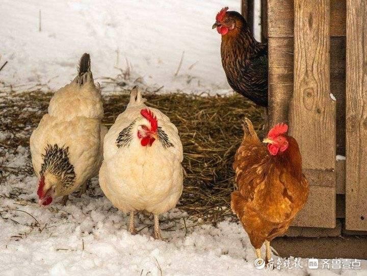 东方红街道天气预报更新通知