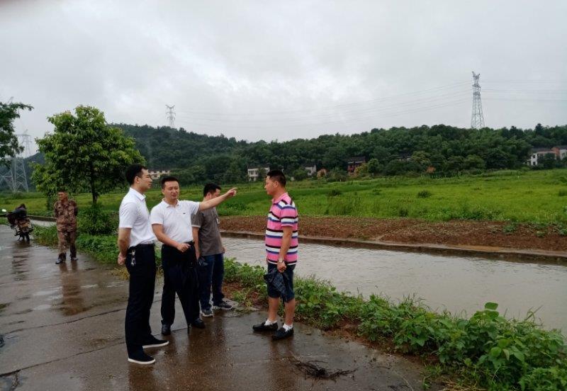 雨母山乡最新新闻报道