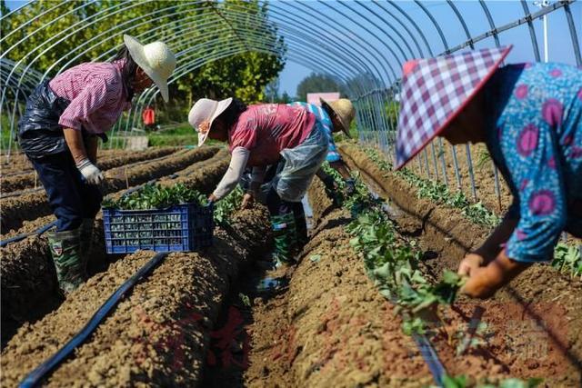 文殊乡最新交通动态报道