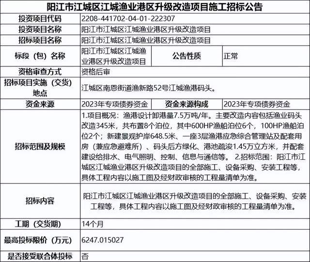 廉江市数据和政务服务局最新发展规划深度探讨