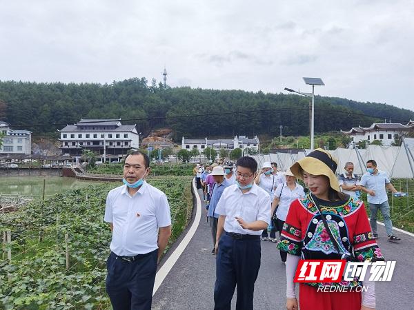 竹山县统计局最新项目概览概览与亮点分析