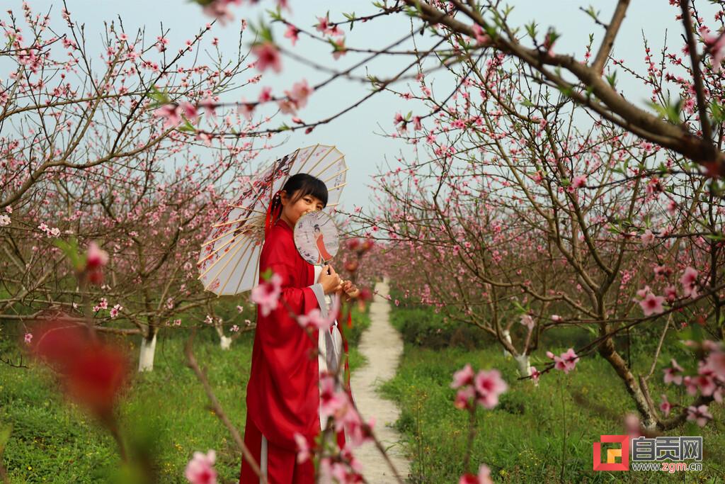 花儿园村委会新项目，重塑乡村魅力，推动可持续发展进程