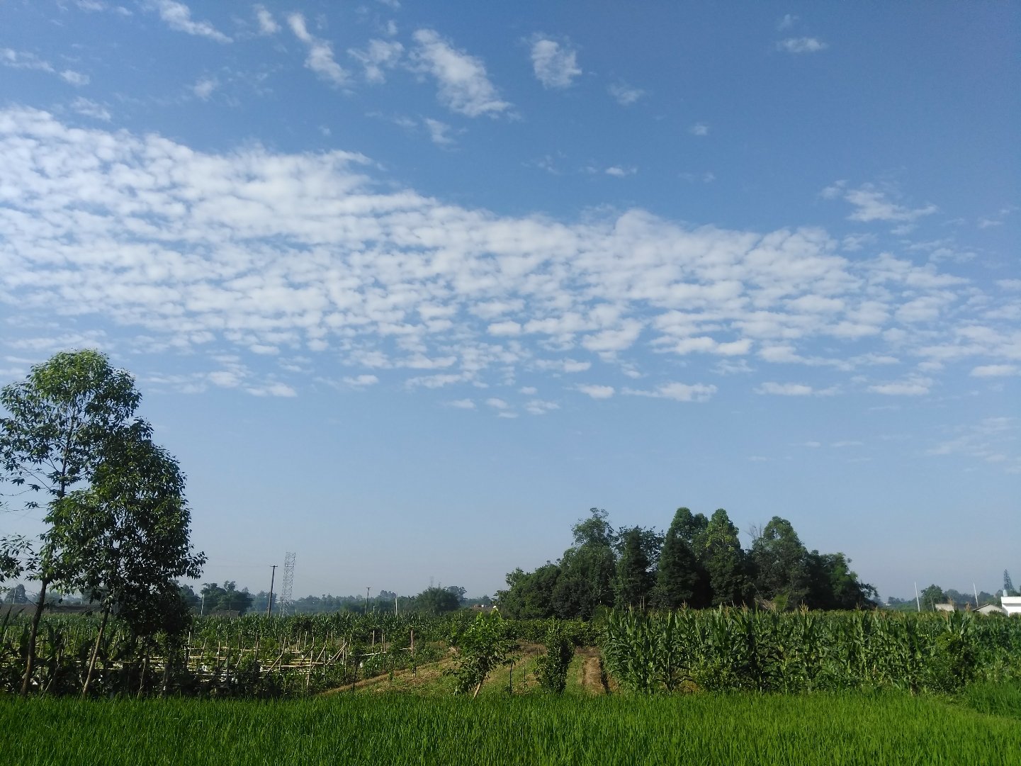 黎明镇天气预报，日常生活必备参考