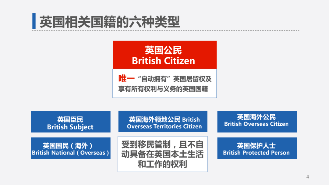 英格最新项目，科技创新的先锋力量