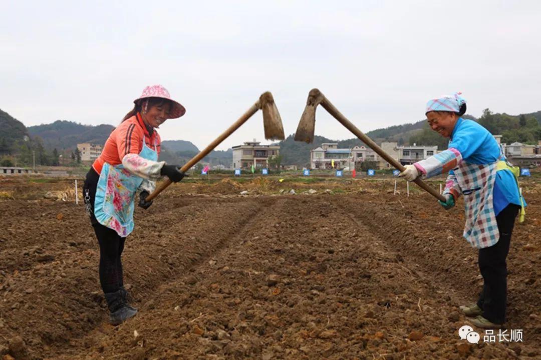 田坝镇未来繁荣蓝图，最新发展规划揭秘