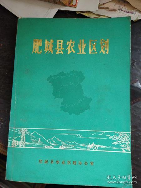 肥城市农业农村局最新发展规划概览