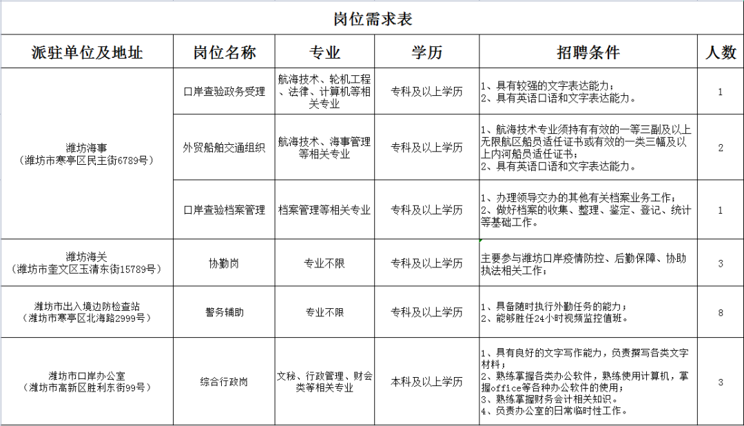 市南区人民政府办公室最新招聘公告概览