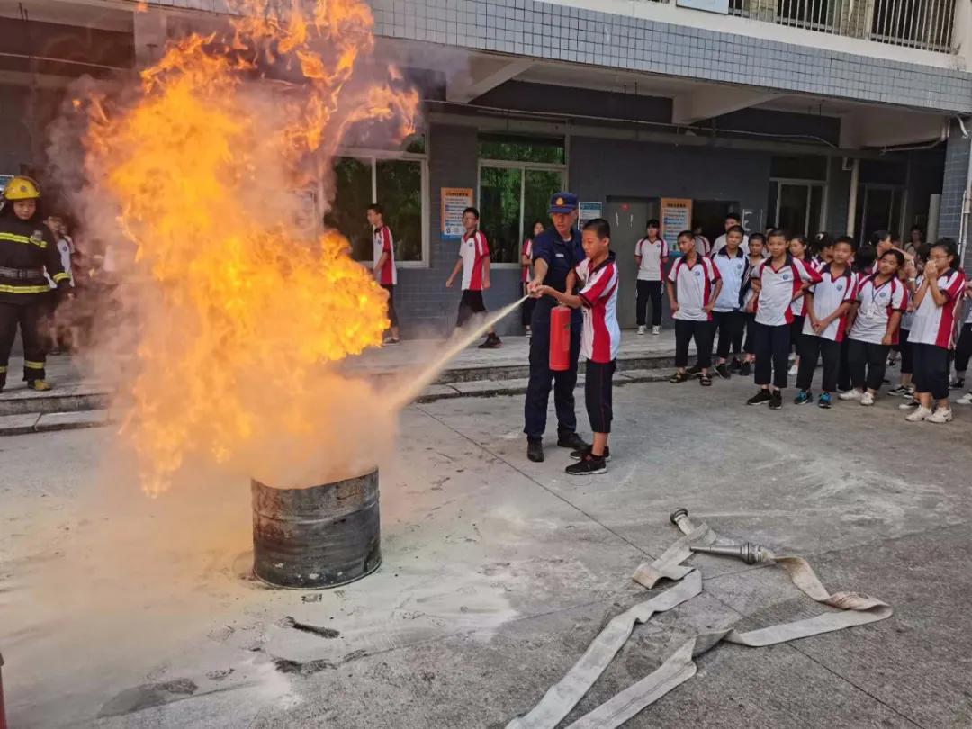 泉港区教育局领导团队引领教育变革，塑造未来之光新篇章